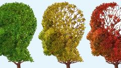 Alzheimer Alzheimer